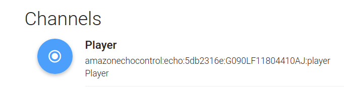 Screenshot of how to link amazon echo channels